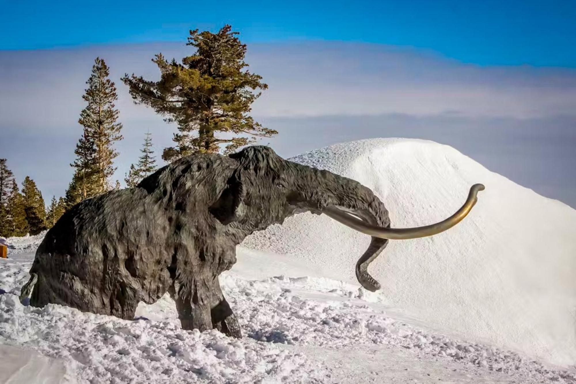 Apartament La Vista Blanc Mammoth Lakes Zewnętrze zdjęcie
